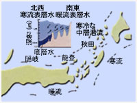 中新世中～後期の日本列島と海流